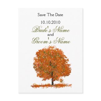 Fall Tree Save The Date postcard. postcard