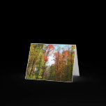 Fall Trees and Blue Sky Card