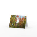 Fall Trees and Blue Sky Card