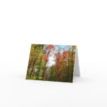 Fall Trees and Blue Sky Card