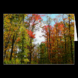 Fall Trees and Blue Sky Card