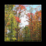 Fall Trees and Blue Sky Magnet