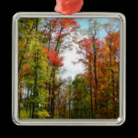 Fall Trees and Blue Sky Ornament