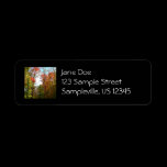 Fall Trees and Blue Sky Return Address Label