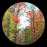 Fall Trees and Blue Sky Sticker
