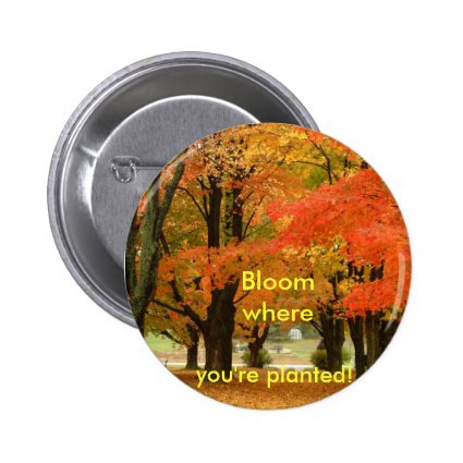 fall trees-Bloom where you're planted inspiration Pin