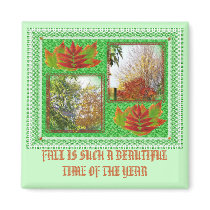 Fall trees collage magnets