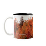 Fall Trees