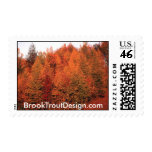 Fall Trees Stamp