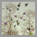 Fall Trees posters