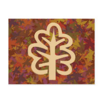 Fall Trees Series 2 Postcard