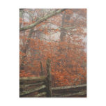Fall trees, split rail fence post cards