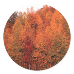Fall Trees Stickers