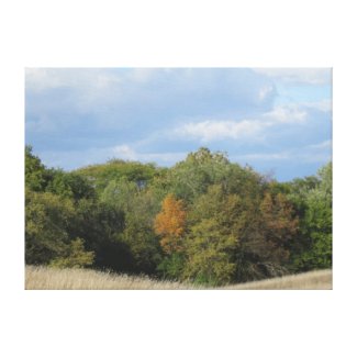 Fall Trees with Grass and Clouds Canvas Print