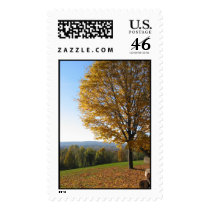 Fall view Connecticut postage by pedersl Fall view Connecticut postage
