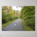 Fall Walk Poster