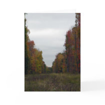 Fall Walls Card