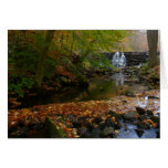 Fall Waterfall and Creek Card (Blank Inside)