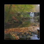 Fall Waterfall and Creek Magnet