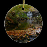 Fall Waterfall and Creek Ornament
