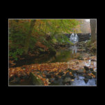 Fall Waterfall and Creek Postcard