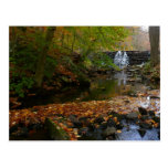 Fall Waterfall and Creek Postcard