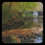 Fall Waterfall and Creek Sticker