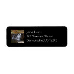 Fall Waterfall Return Address Label