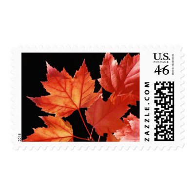 Fall Wedding Invitations Postage Stamps Autumn
