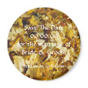 Fall Wedding - magnet by Horseshoes3 Fall Wedding - magnet