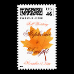 Fall Wedding