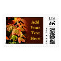 Fall Wedding Postage Stamp