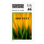 Fall Wedding Postage Stamp