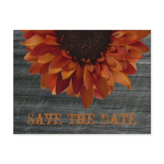 Fall Wedding Save The Date Sunflower Postcard postcard