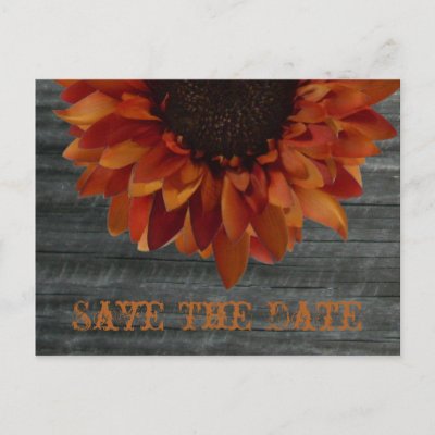 Fall Wedding Save The Date Sunflower Postcard