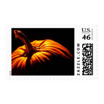 Fall Wedding Theme Wedding Invitations Stamps