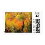 Fall Weddings Autumn Weddings Invitation Stamps