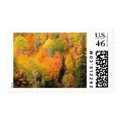 Fall Weddings Autumn Weddings Invitation Stamps