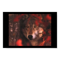 Fall wolf posters