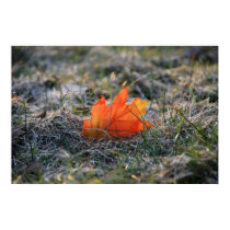 Fallen Autumn Leaf posters by wandringmind Fallen Autumn Leaf posters