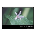 Fallen Beauty posters