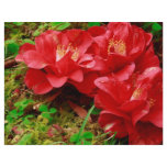 Fallen camellias flyers
