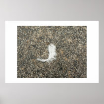 Fallen feather. posters
