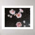 Fallen Flowers-Print