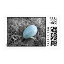 Fallen from the nest Postage Stamp