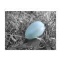 Fallen from the nest postcards