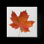 Fallen Leaf 01 buttons