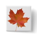Fallen Leaf 01 Buttons