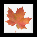 Fallen Leaf 01 magnets