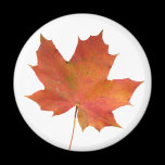 Fallen Leaf 01 magnets